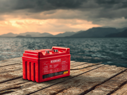 Everstart Battery